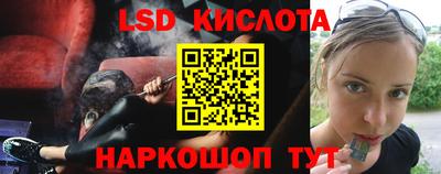 прущие грибы Усть-Илимск