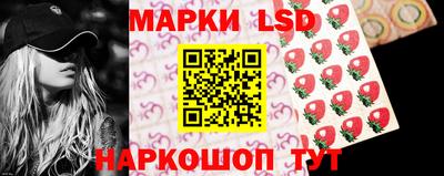 прущие грибы Усть-Илимск