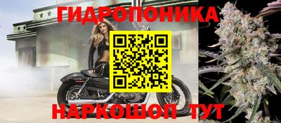 МДПВ Чапаевск